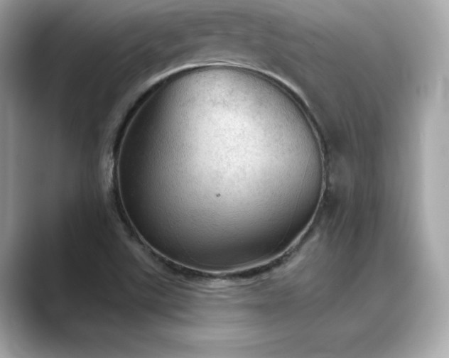 X0000089761507200706211534