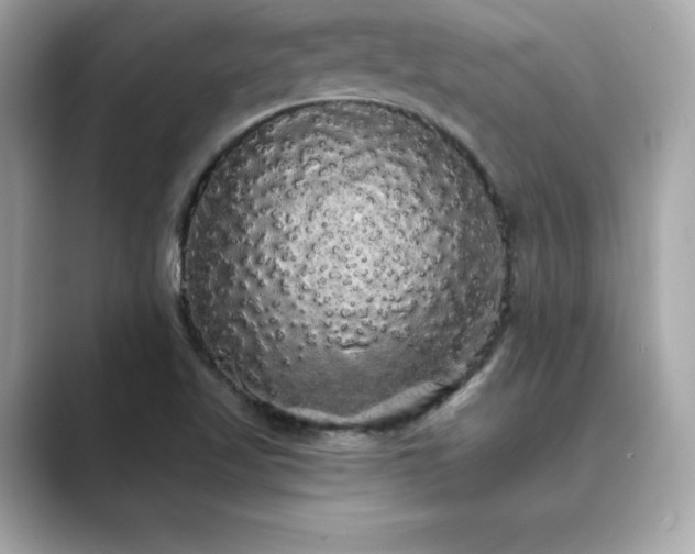 X0000089761509200706211534