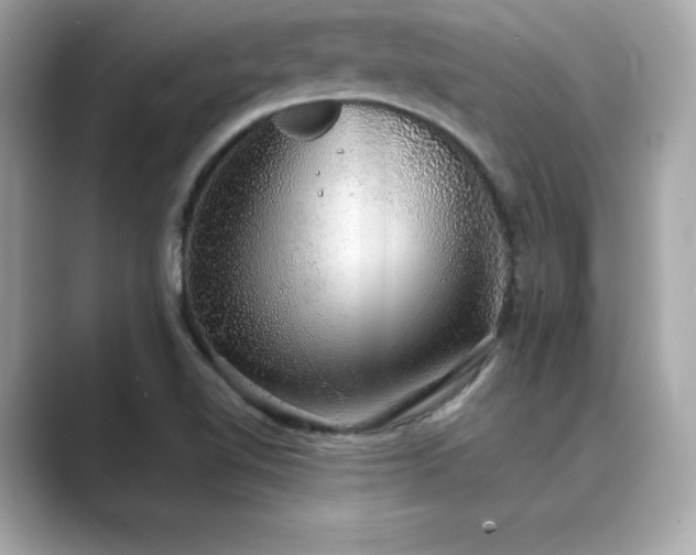 X0000089761510200706211534