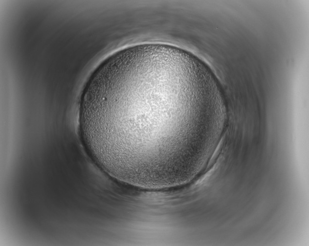 X0000089761511200706211534