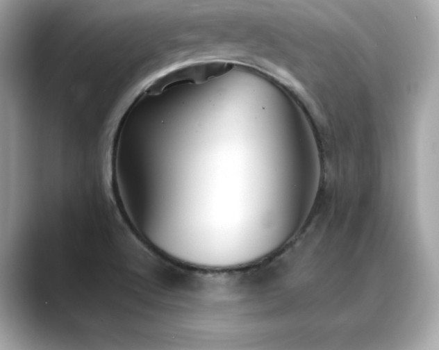 X0000089761512200706211534