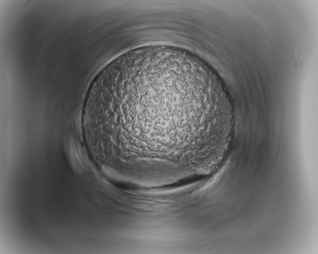 X0000089761513200706211534