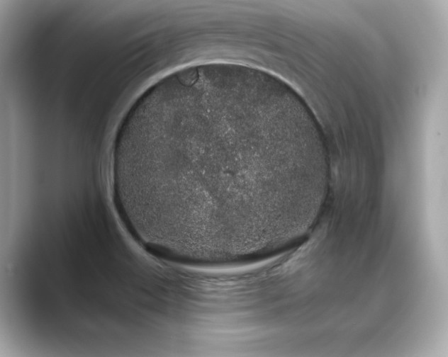 X0000089761515200706211534
