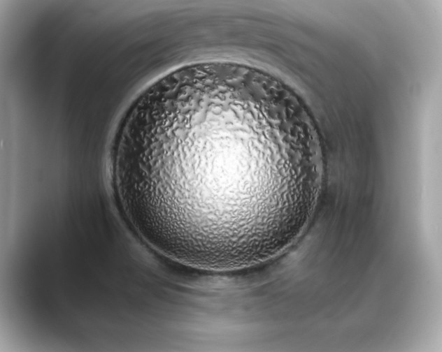 X0000089761517200706211534