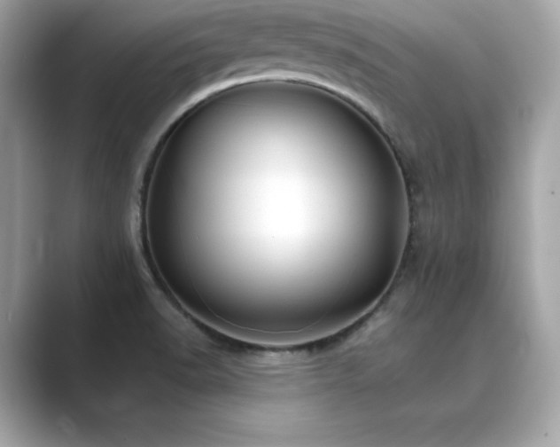 X0000089761518200706211534