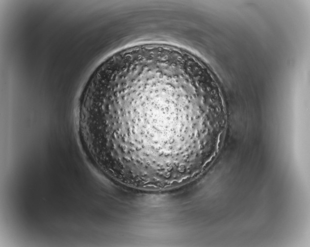 X0000089761519200706211534