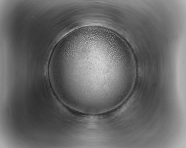X0000089761521200706211534