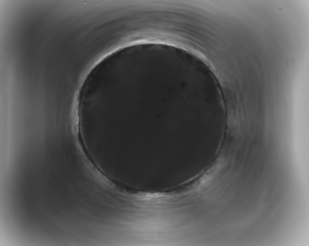 X0000089761522200706211534