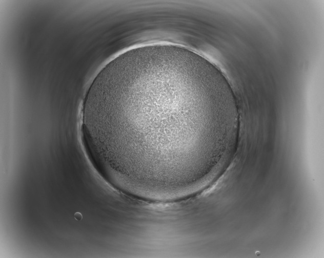 X0000089761524200706211534