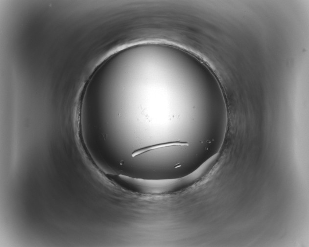X0000089761526200706211534