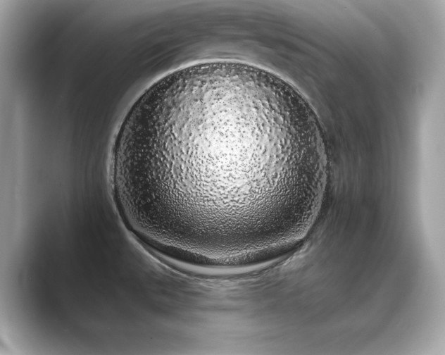 X0000089761527200706211534