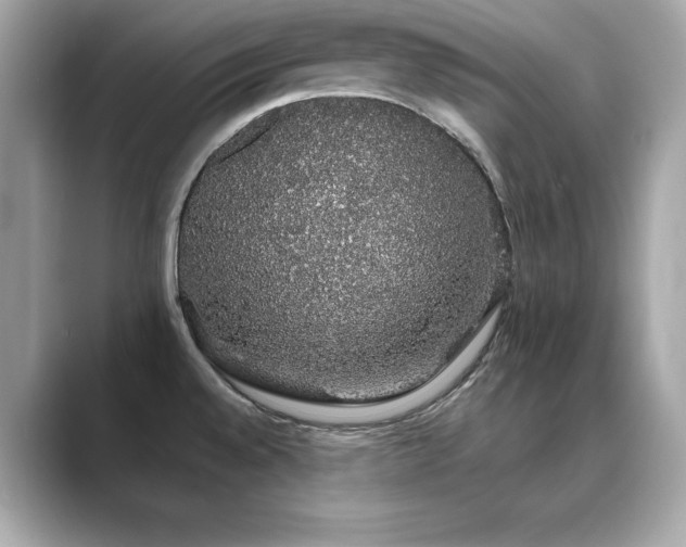 X0000089761528200706211534