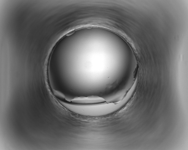 X0000089761530200706211534