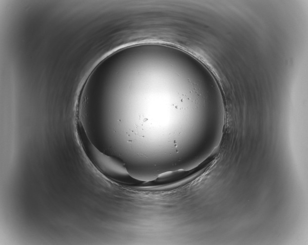 X0000089761532200706211534