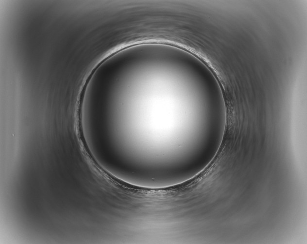 X0000089761534200706211534