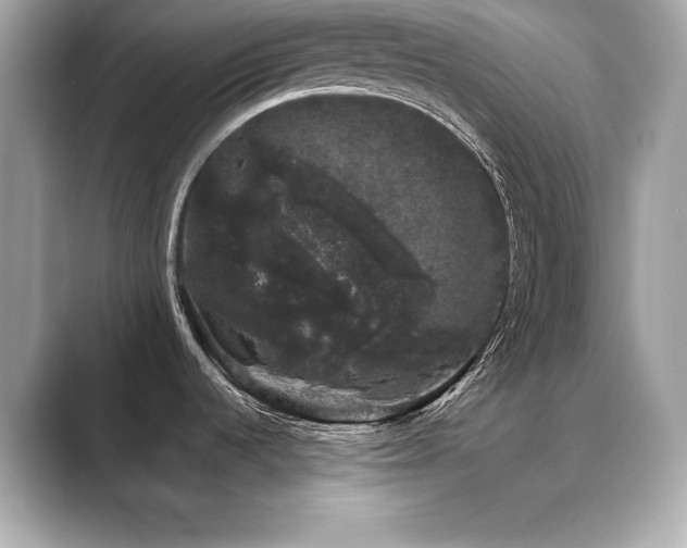 X0000089761536200706211534