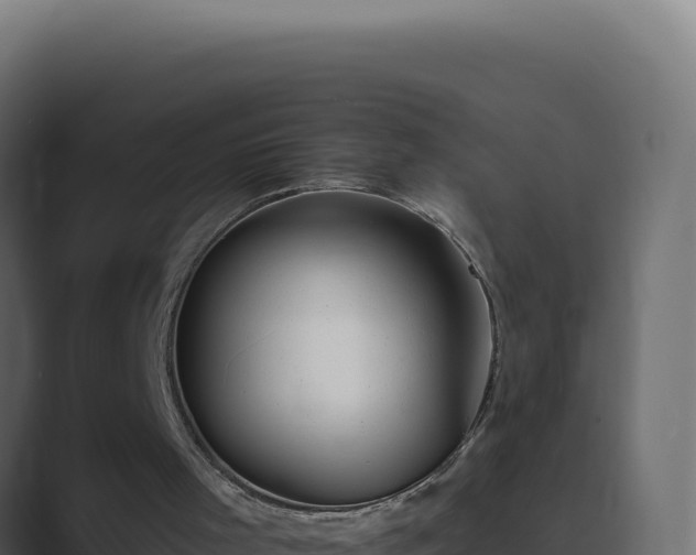 X0000089760001200706281652