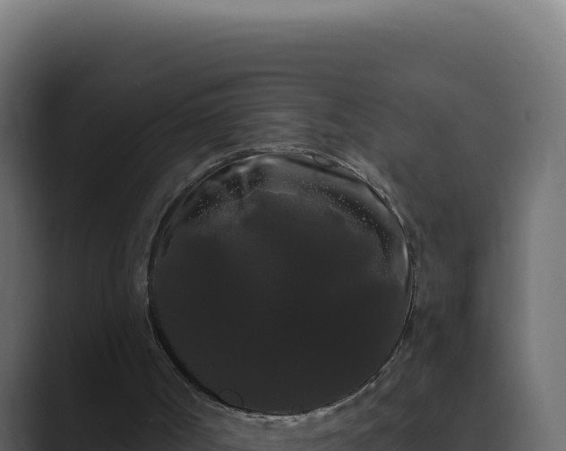 X0000089760002200706281652