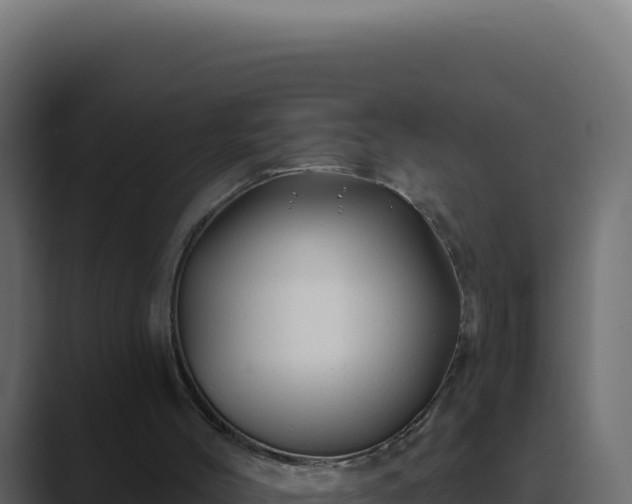 X0000089760004200706281652