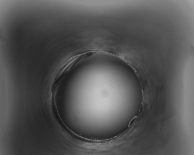 X0000089760005200706281652