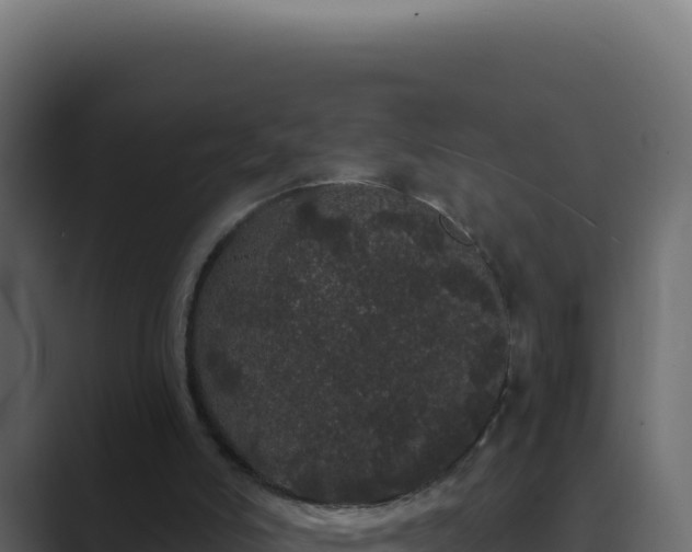 X0000089760006200706281652