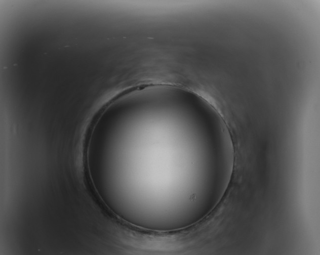 X0000089760008200706281652