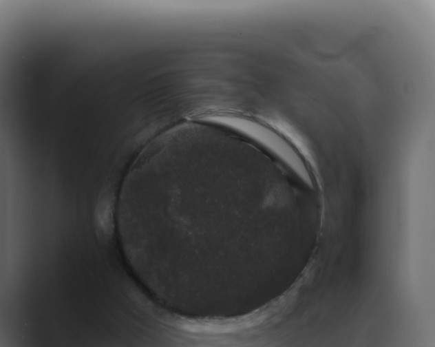 X0000089760009200706281652