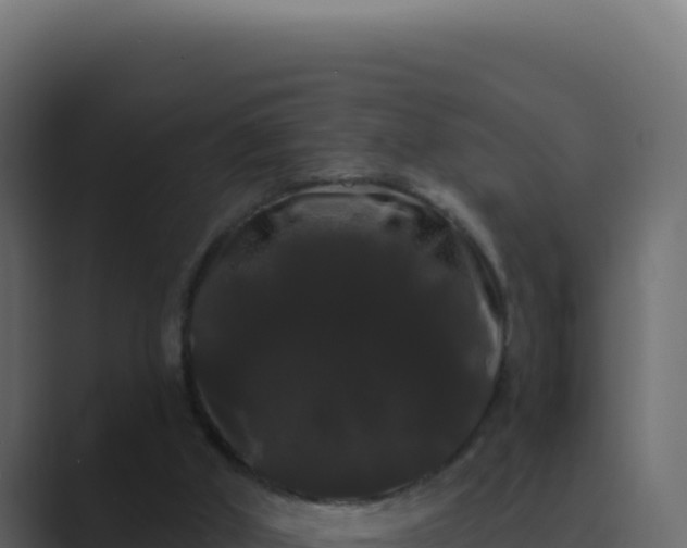 X0000089760010200706281652