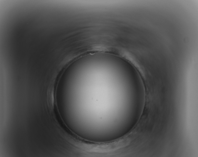 X0000089760011200706281652