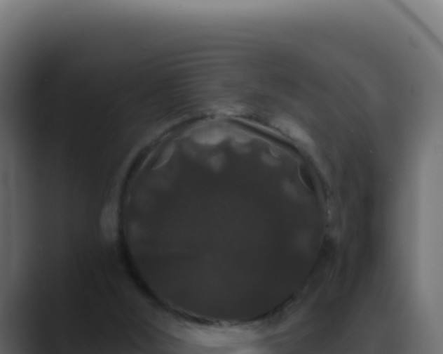 X0000089760012200706281652