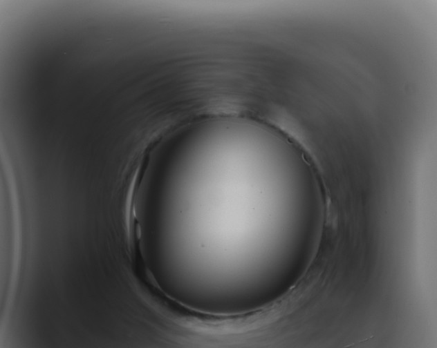 X0000089760013200706281652