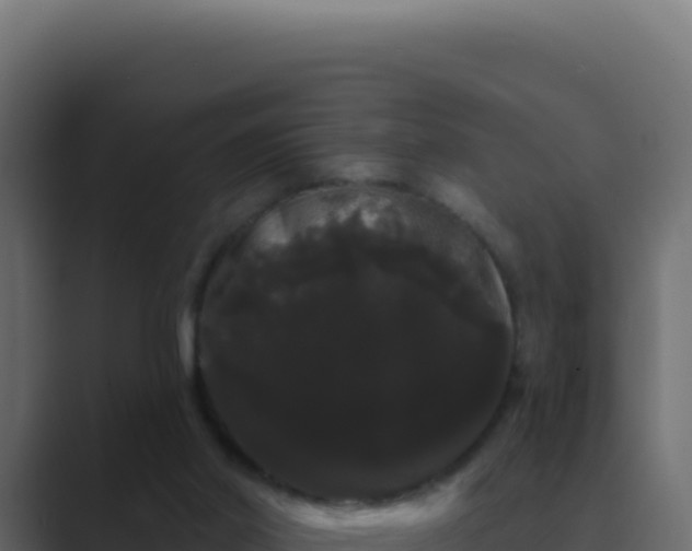 X0000089760014200706281652