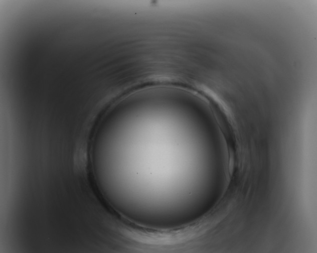 X0000089760015200706281652