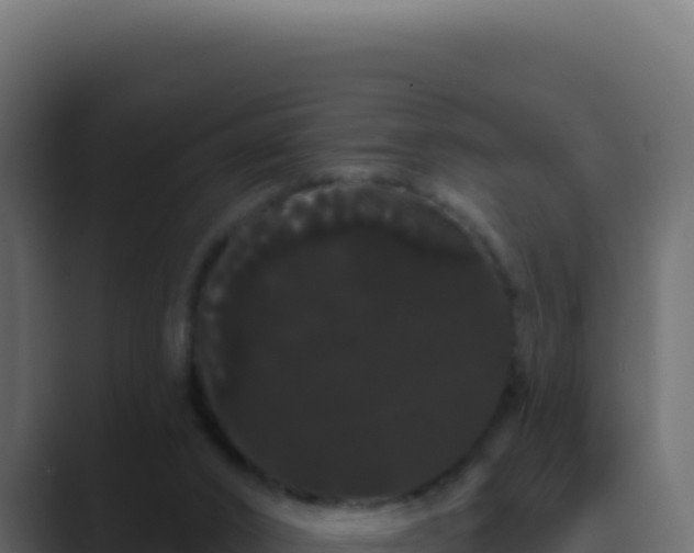 X0000089760016200706281652