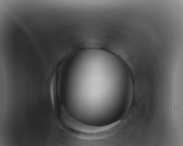 X0000089760017200706281652