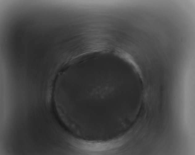 X0000089760018200706281652