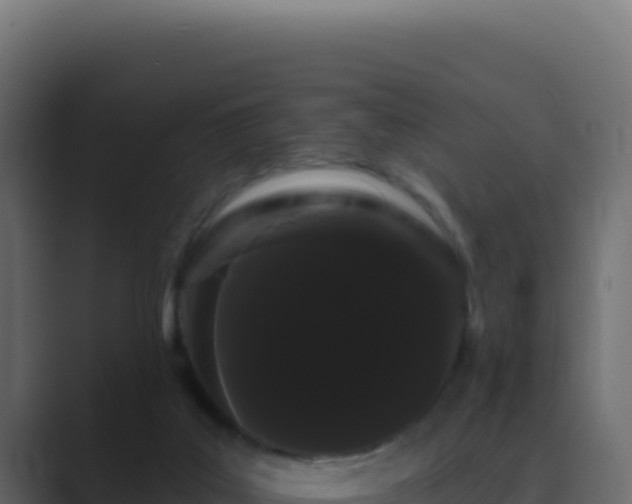 X0000089760019200706281652