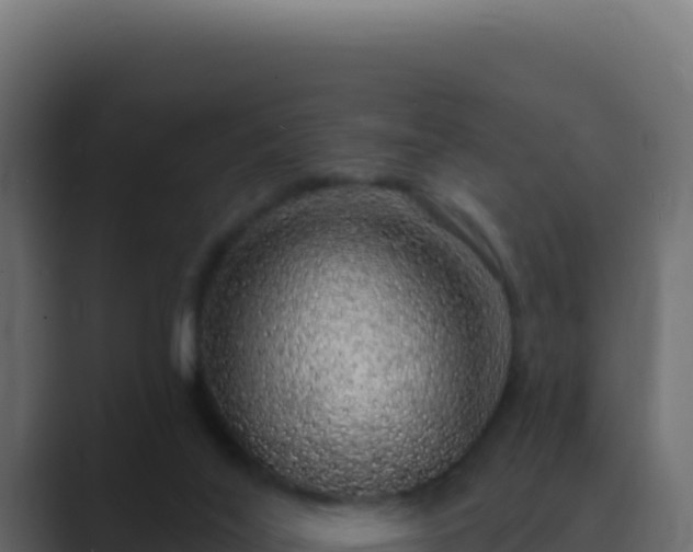 X0000089760020200706281652