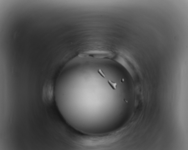 X0000089760021200706281652