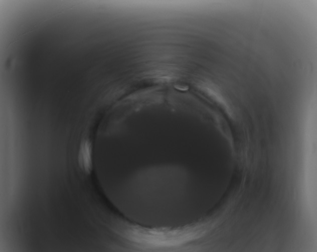 X0000089760022200706281652