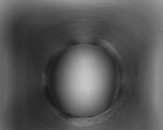 X0000089760025200706281652