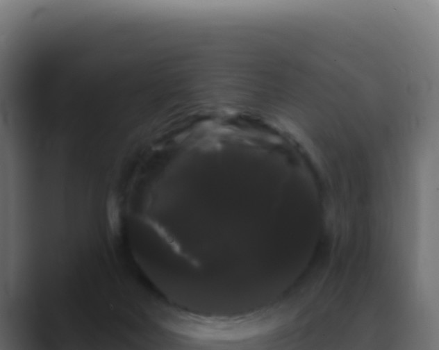 X0000089760026200706281652