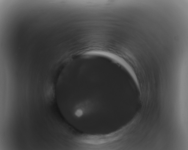 X0000089760029200706281652