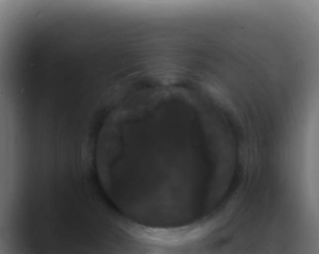 X0000089760030200706281652