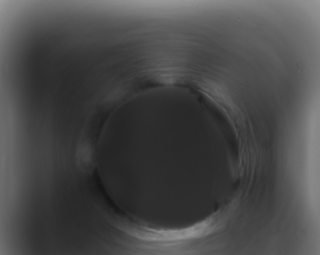 X0000089760031200706281652