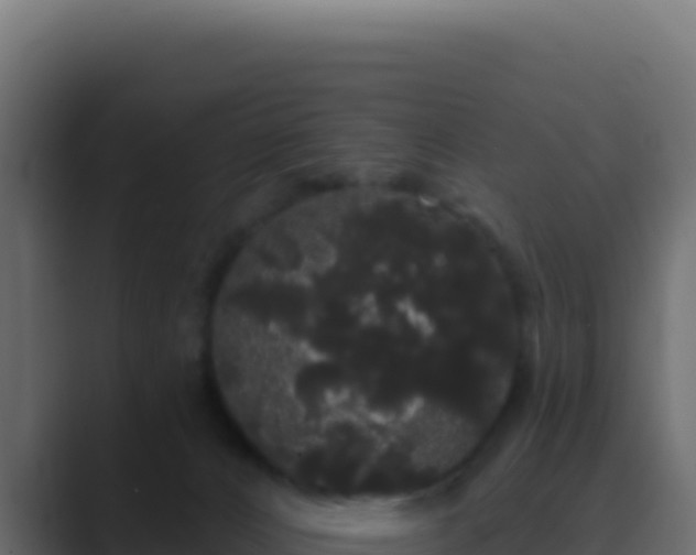 X0000089760032200706281652