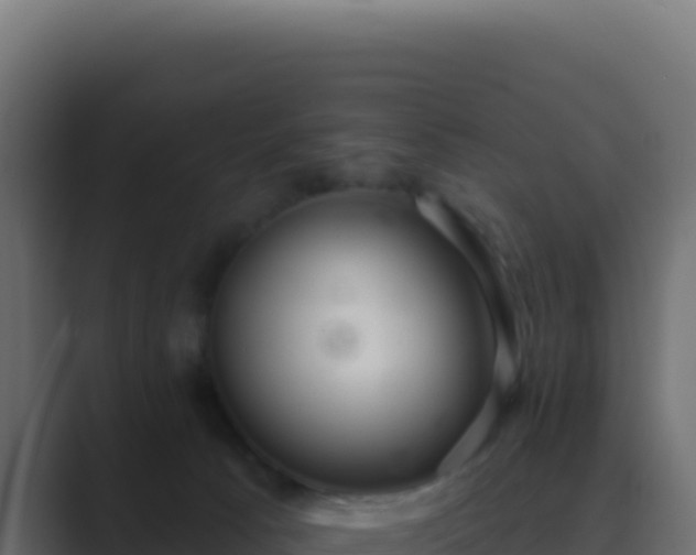 X0000089760033200706281652