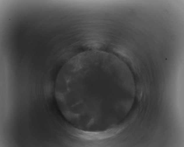 X0000089760034200706281652