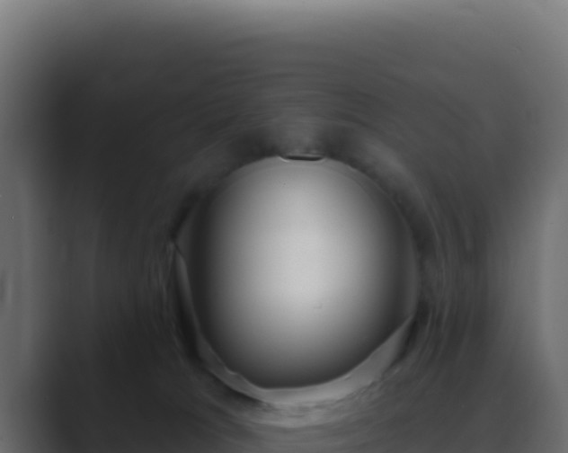 X0000089760037200706281652