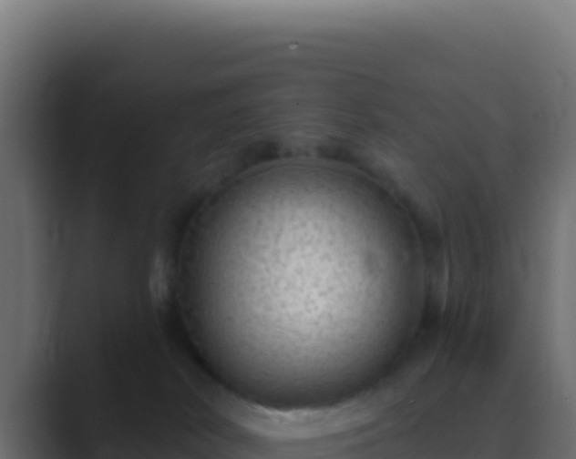 X0000089760038200706281652